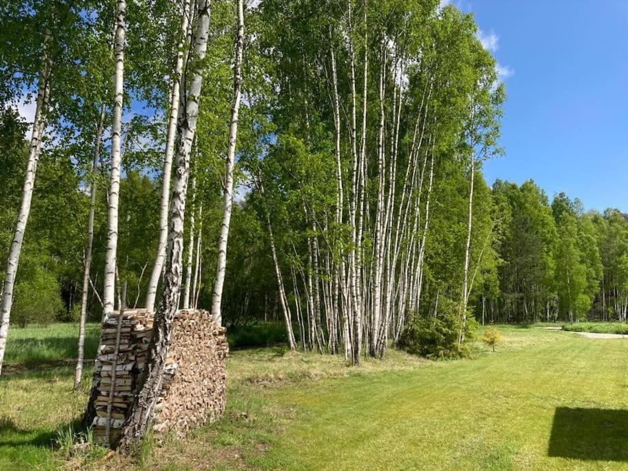 Wild Rose: Cozy Place In Near The Sea Holiday home Kesterciems